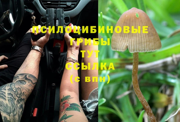 СК Аркадак