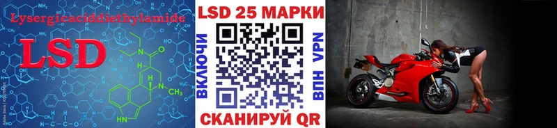 omg как войти  Темников  Лсд 25 экстази кислота 