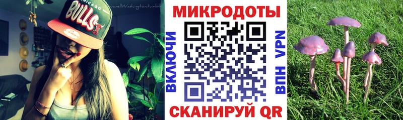 Псилоцибиновые грибы GOLDEN TEACHER  Темников 